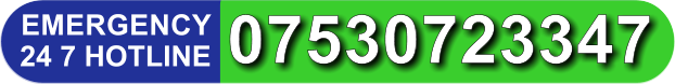 Emergency Hotline Phone Number